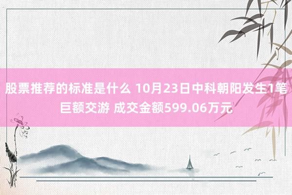 股票推荐的标准是什么 10月23日中科朝阳发生1笔巨额交游 成交金额599.06万元