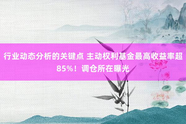 行业动态分析的关键点 主动权利基金最高收益率超85%！调仓所在曝光