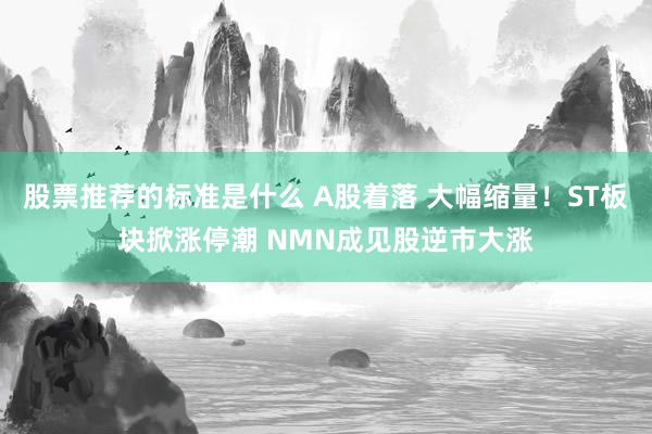 股票推荐的标准是什么 A股着落 大幅缩量！ST板块掀涨停潮 NMN成见股逆市大涨