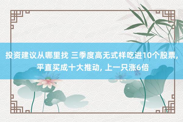 投资建议从哪里找 三季度高无式样吃进10个股票, 平直买成十大推动, 上一只涨6倍