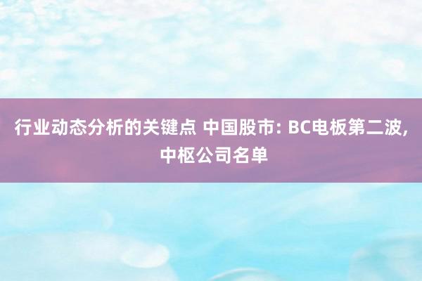 行业动态分析的关键点 中国股市: BC电板第二波, 中枢公司名单