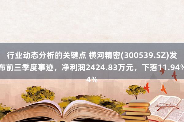 行业动态分析的关键点 横河精密(300539.SZ)发布前三季度事迹，净利润2424.83万元，下落11.94%