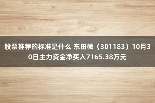 股票推荐的标准是什么 东田微（301183）10月30日主力资金净买入7165.38万元