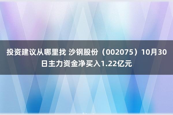 投资建议从哪里找 沙钢股份（002075）10月30日主力资金净买入1.22亿元