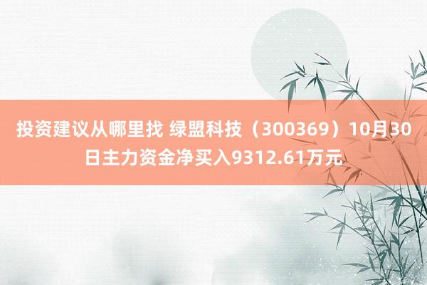 投资建议从哪里找 绿盟科技（300369）10月30日主力资金净买入9312.61万元