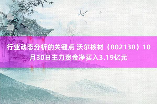 行业动态分析的关键点 沃尔核材（002130）10月30日主力资金净买入3.19亿元