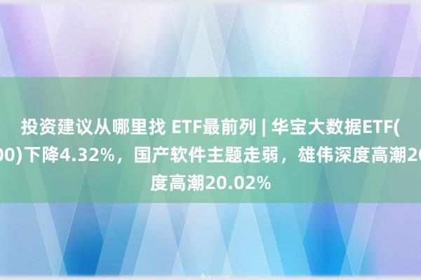 投资建议从哪里找 ETF最前列 | 华宝大数据ETF(516700)下降4.32%，国产软件主题走弱，雄伟深度高潮20.02%