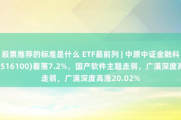 股票推荐的标准是什么 ETF最前列 | 中原中证金融科技主题ETF(516100)着落7.2%，国产软件主题走弱，广漠深度高涨20.02%