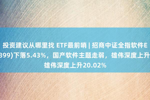 投资建议从哪里找 ETF最前哨 | 招商中证全指软件ETF(159899)下落5.43%，国产软件主题走弱，雄伟深度上升20.02%