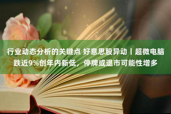 行业动态分析的关键点 好意思股异动丨超微电脑跌近9%创年内新低，停牌或退市可能性增多