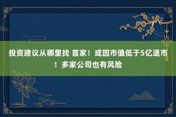 投资建议从哪里找 首家！或因市值低于5亿退市！多家公司也有风险