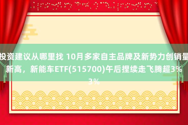 投资建议从哪里找 10月多家自主品牌及新势力创销量新高，新能车ETF(515700)午后捏续走飞腾超3%