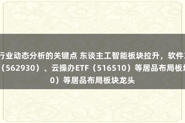 行业动态分析的关键点 东谈主工智能板块拉升，软件30ETF（562930）、云操办ETF（516510）等居品布局板块龙头