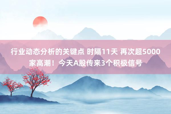 行业动态分析的关键点 时隔11天 再次超5000家高潮！今天A股传来3个积极信号