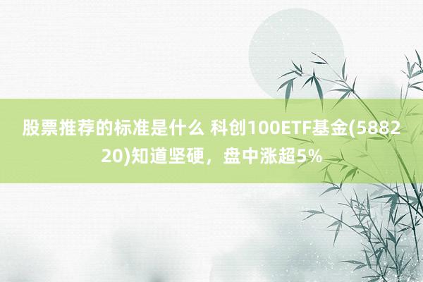 股票推荐的标准是什么 科创100ETF基金(588220)知道坚硬，盘中涨超5%