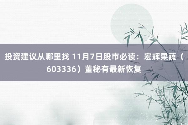 投资建议从哪里找 11月7日股市必读：宏辉果蔬（603336）董秘有最新恢复