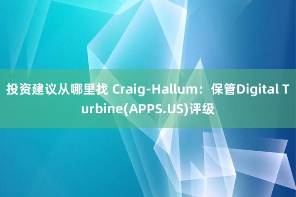 投资建议从哪里找 Craig-Hallum：保管Digital Turbine(APPS.US)评级