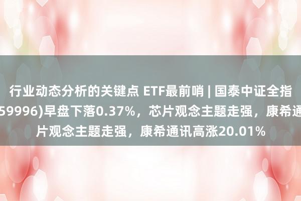 行业动态分析的关键点 ETF最前哨 | 国泰中证全指家用电器ETF(159996)早盘下落0.37%，芯片观念主题走强，康希通讯高涨20.01%