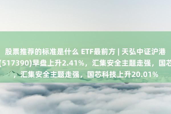 股票推荐的标准是什么 ETF最前方 | 天弘中证沪港深云蓄意产业ETF(517390)早盘上升2.41%，汇集安全主题走强，国芯科技上升20.01%