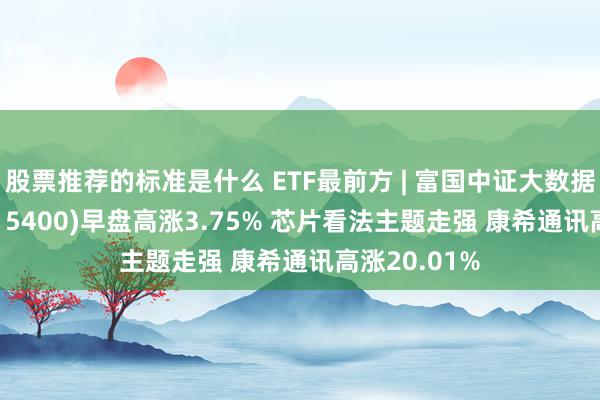 股票推荐的标准是什么 ETF最前方 | 富国中证大数据产业ETF(515400)早盘高涨3.75% 芯片看法主题走强 康希通讯高涨20.01%