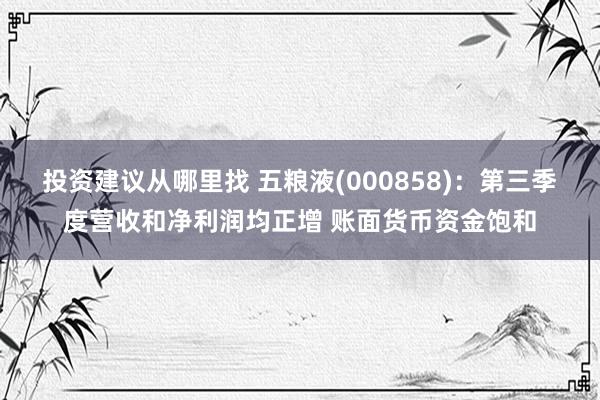 投资建议从哪里找 五粮液(000858)：第三季度营收和净利润均正增 账面货币资金饱和