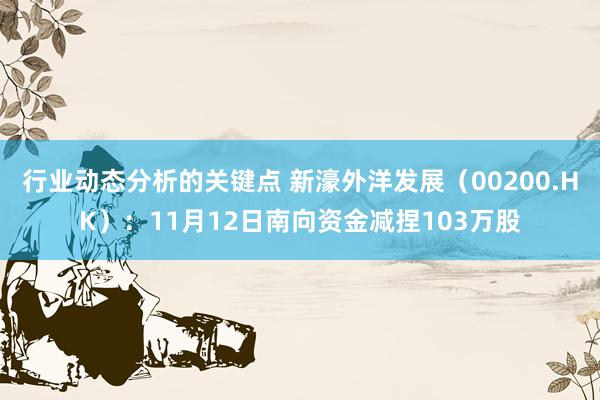 行业动态分析的关键点 新濠外洋发展（00200.HK）：11月12日南向资金减捏103万股