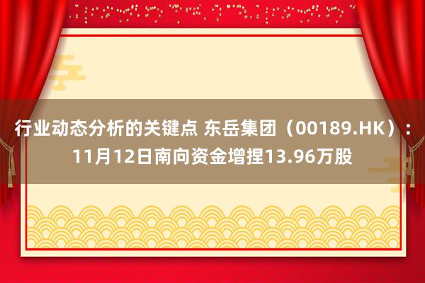 行业动态分析的关键点 东岳集团（00189.HK）：11月12日南向资金增捏13.96万股