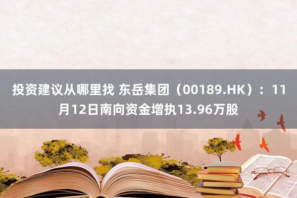 投资建议从哪里找 东岳集团（00189.HK）：11月12日南向资金增执13.96万股