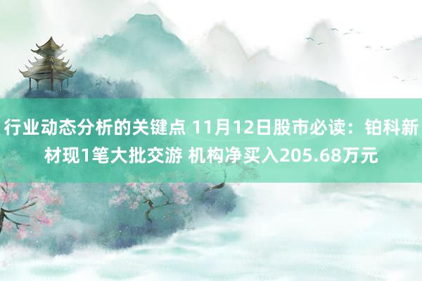 行业动态分析的关键点 11月12日股市必读：铂科新材现1笔大批交游 机构净买入205.68万元