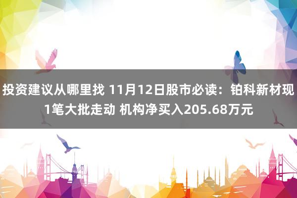 投资建议从哪里找 11月12日股市必读：铂科新材现1笔大批走动 机构净买入205.68万元