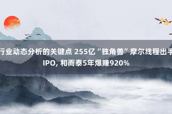 行业动态分析的关键点 255亿“独角兽”摩尔线程出手IPO, 和而泰5年爆赚920%