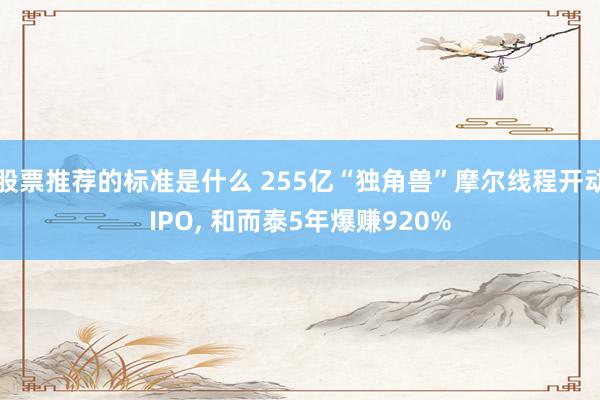 股票推荐的标准是什么 255亿“独角兽”摩尔线程开动IPO, 和而泰5年爆赚920%