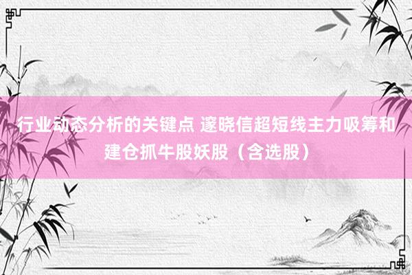 行业动态分析的关键点 邃晓信超短线主力吸筹和建仓抓牛股妖股（含选股）