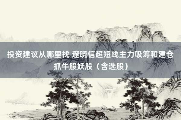 投资建议从哪里找 邃晓信超短线主力吸筹和建仓抓牛股妖股（含选股）