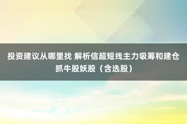 投资建议从哪里找 解析信超短线主力吸筹和建仓抓牛股妖股（含选股）