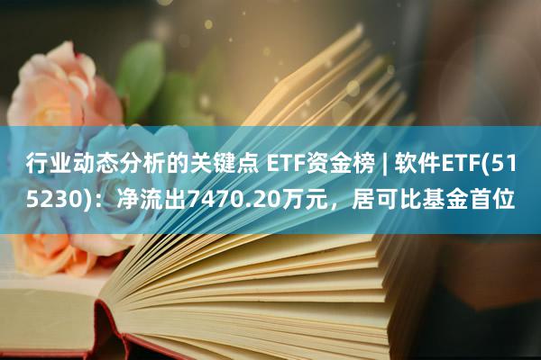 行业动态分析的关键点 ETF资金榜 | 软件ETF(515230)：净流出7470.20万元，居可比基金首位