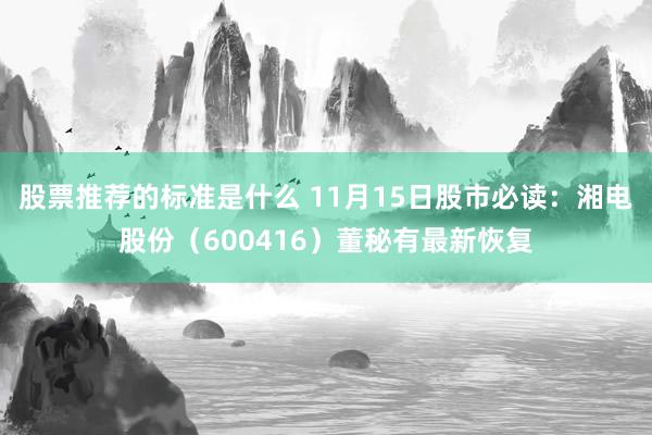 股票推荐的标准是什么 11月15日股市必读：湘电股份（600416）董秘有最新恢复