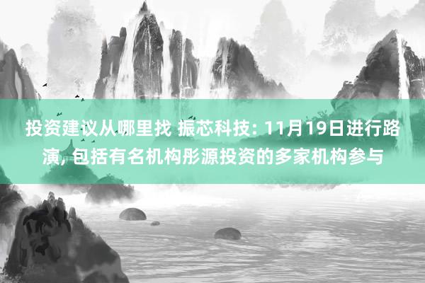 投资建议从哪里找 振芯科技: 11月19日进行路演, 包括有名机构彤源投资的多家机构参与