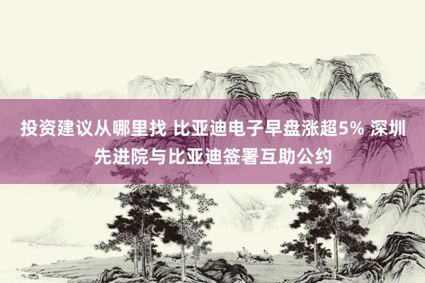 投资建议从哪里找 比亚迪电子早盘涨超5% 深圳先进院与比亚迪签署互助公约