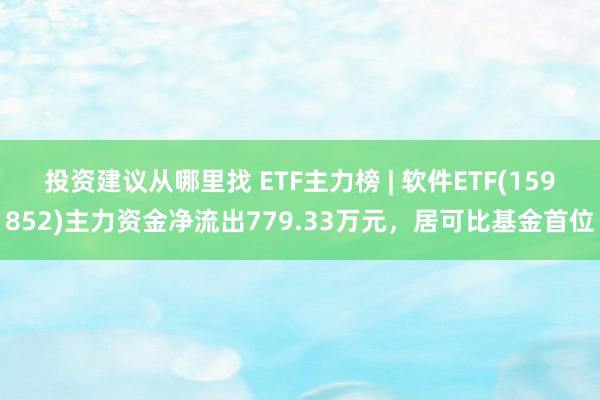 投资建议从哪里找 ETF主力榜 | 软件ETF(159852)主力资金净流出779.33万元，居可比基金首位