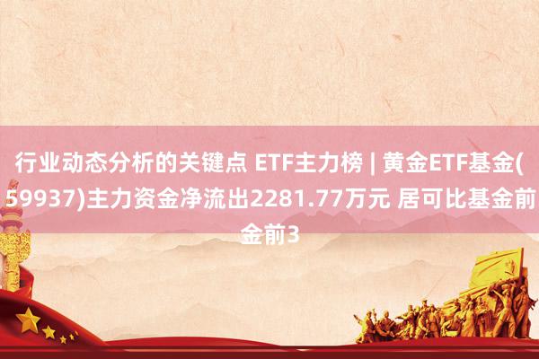 行业动态分析的关键点 ETF主力榜 | 黄金ETF基金(159937)主力资金净流出2281.77万元 居可比基金前3