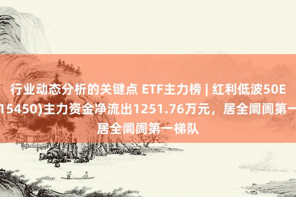 行业动态分析的关键点 ETF主力榜 | 红利低波50ETF(515450)主力资金净流出1251.76万元，居全阛阓第一梯队