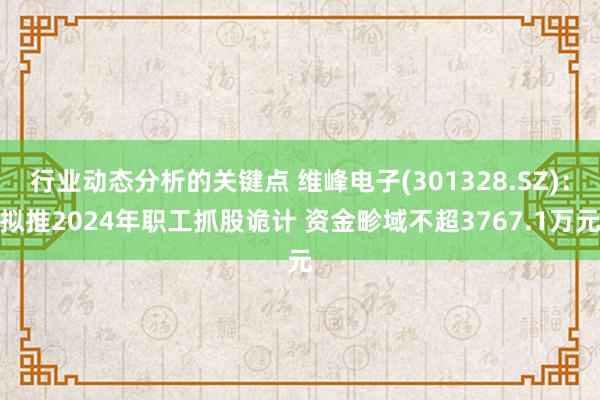 行业动态分析的关键点 维峰电子(301328.SZ)：拟推2024年职工抓股诡计 资金畛域不超3767.1万元