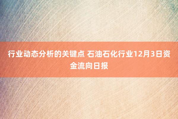 行业动态分析的关键点 石油石化行业12月3日资金流向日报