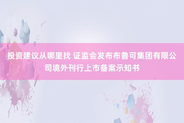 投资建议从哪里找 证监会发布布鲁可集团有限公司境外刊行上市备案示知书