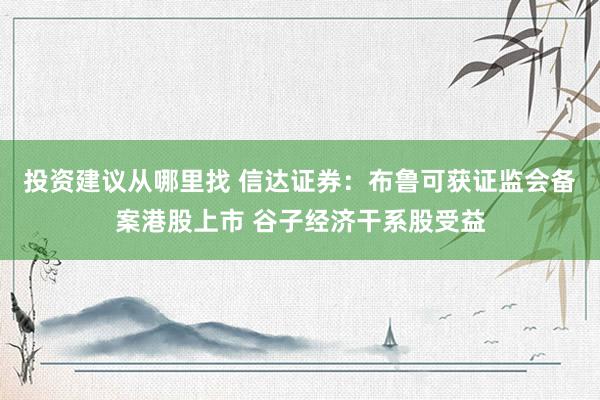 投资建议从哪里找 信达证券：布鲁可获证监会备案港股上市 谷子经济干系股受益