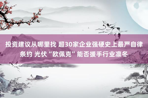 投资建议从哪里找 超30家企业强硬史上最严自律条约 光伏“欧佩克”能否援手行业凛冬