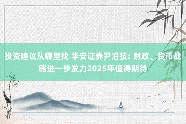 投资建议从哪里找 华安证券尹沿技: 财政、货币战略进一步发力2025年值得期待