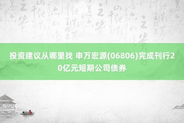 投资建议从哪里找 申万宏源(06806)完成刊行20亿元短期公司债券