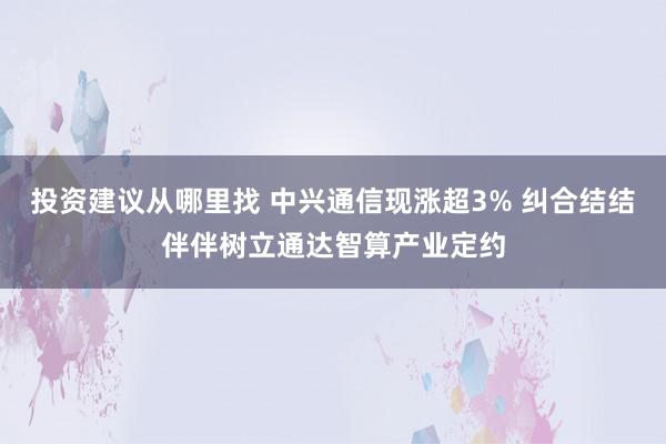 投资建议从哪里找 中兴通信现涨超3% 纠合结结伴伴树立通达智算产业定约